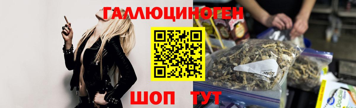 Псилоцибиновые грибы MAGIC MUSHROOMS Кудымкар
