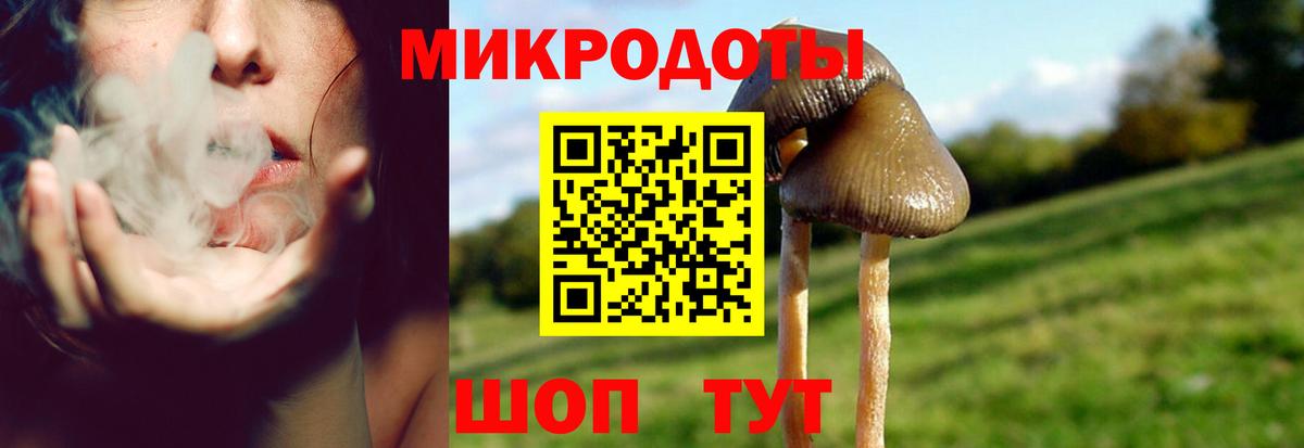 Кудымкар  Псилоцибиновые грибы Psilocybe  Псилоцибиновые грибы GOLDEN TEACHER  Вход с VPN 